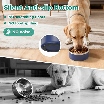 LIHONG Stainless Steel Dog Bowls for Large Dogs,Dog Food Water Bowls with Non Slip Rubber Bottom,Pet Feeding Bowl,Double Wall Insulated,Rustproof(64oz,Blue)