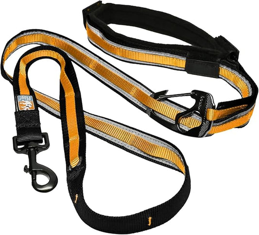 Kurgo Quantum Leash 2.0 - Versatile for Running or Walking - 6 in 1 Dog Leash - Hands-Free Dog Leash - Adjustable - Strong & Durable - Black/Orange