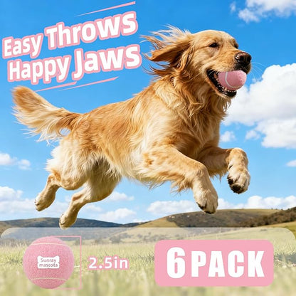 2.5" Dog Tennis Balls 6-Pack – Silent Bounce, Tough Rubber Core, Durable Fetch & Training Toys for Indoor/Outdoor Play, for Small Medium Large Dogs (Macaron Mixed Color, 6-Pack)