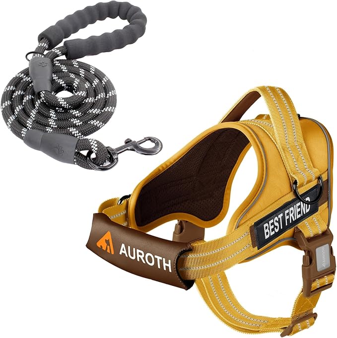 AUROTH Dog Harness and Leash Set, Soft Padded Service Dog Vest with 5.25FT Dog Leash, No Choke, Easy On Pet Vest, Adjustable Reflective No Pull Dog Harness for Large Dogs, Easy Walking and Training