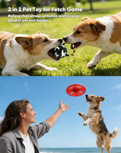 Deeow Alieen Dog Frisbee for Fetch and Black Jack-o-Lantern Pet Toys, Teething Clean Outdoor Flying Disc and Halloween Pumpkin Pet Toy, Interactive Squeaky Dogs Toy for Water, Park, Beach Fun
