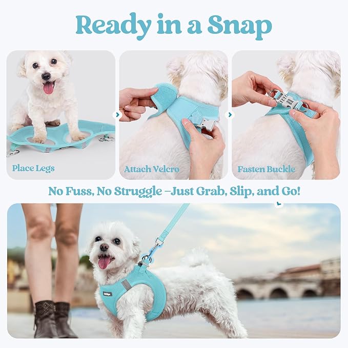 rabbitgoo Dog Harness Small Medium Sized and Leash Set, Step in Soft Light Puppy Vest, Breathable Mesh Pet Harness, Reflective for Safe Easy Walking, Mint Blue XL