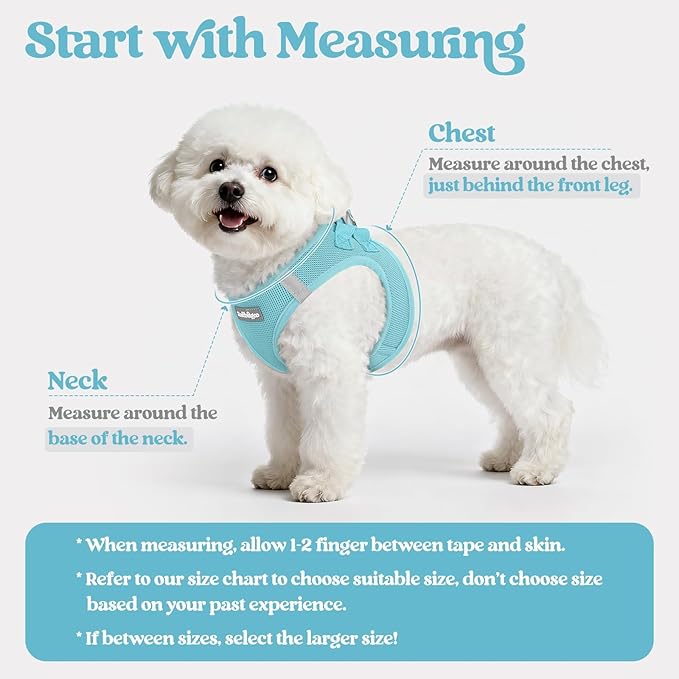 rabbitgoo Dog Harness Small Sized and Leash Set, Step in Soft Light Puppy Vest, Breathable Mesh Pet Harness, Reflective for Safe Easy Walking, Mint Blue XS