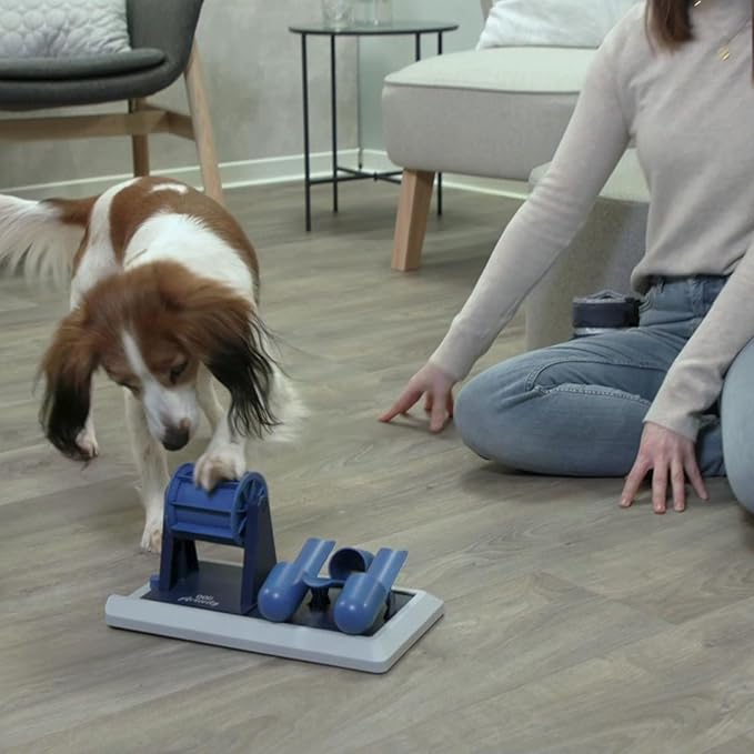 TRIXIE Vario Poker Box 2 Dog Activity Interactive Toy, Level 2 Food Puzzle Game, Brain Teasing Treat Dispenser, IQ and Mental Development Toy for Smart Dogs, Enrichment Toy for Boredom Busting