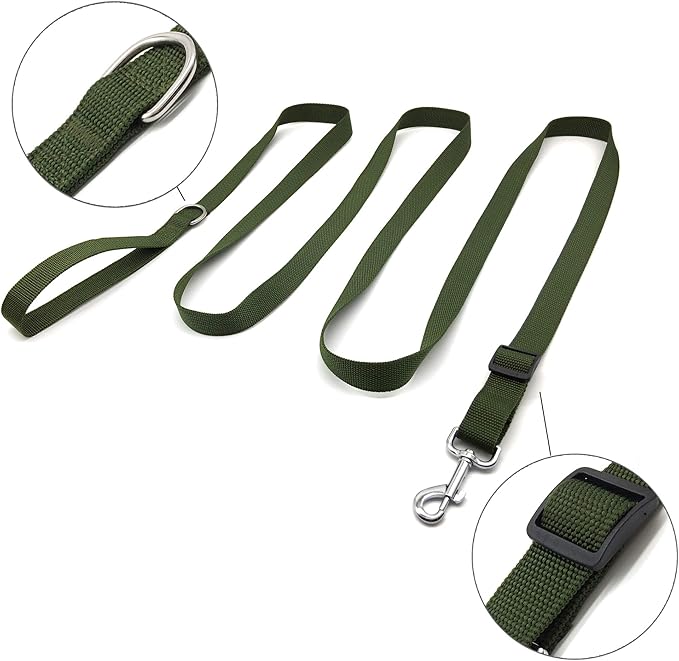 TAIAN Adjustable Nylon Dog Leash, 6FT/10 FT Long Dog Leashes for Small Medium Large Dogs (1 in x 10 ft, Green)