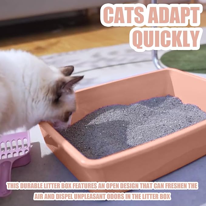 Small Litter Box, Plastic Kitten Litter Box, 13.9 x 9.8 x 3 Inch Open Litter Box for Small Pet, Easy to Clean (Pink 4PCS)