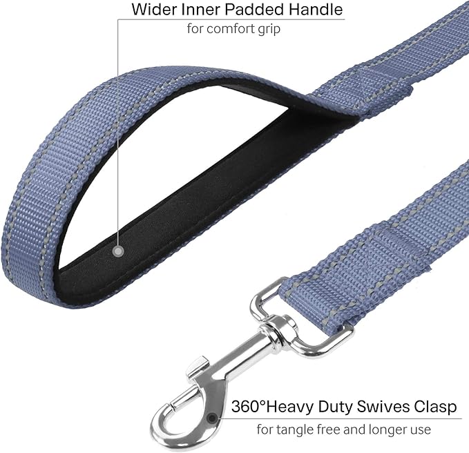FunTags 4FT Reflective Dog Leash with Soft Padded Handle for Training,Walking Lead for Medium & Small Dogs,3/4 Inch Wide,Grey