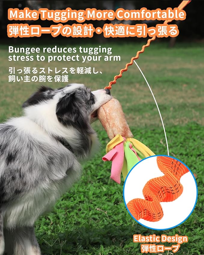 SCHITEC Tug Toy for Dogs, [2 Pack] Bungee Tug of War Squeaky Rope Toys for Exercise & Interactive Play Games, Puppy Training Pull Toy for Small Medium Large Dog