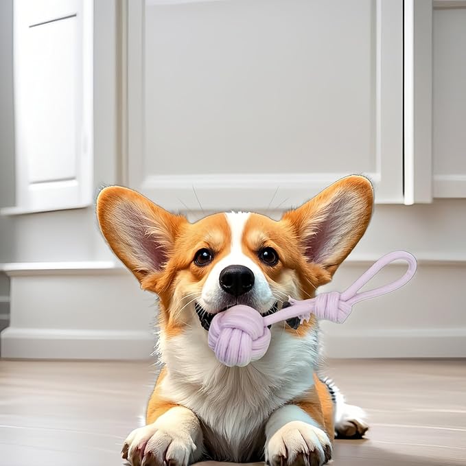 CandyColor Dog Cat Chew Rope Toy - 30cm Non-Toxic Dental Teething Toy for Puppies Kittens, Durable Rainbow Macaron Cotton Rope - Anti-Anxiety Interactive Play, Furniture Saver & Machine Washable