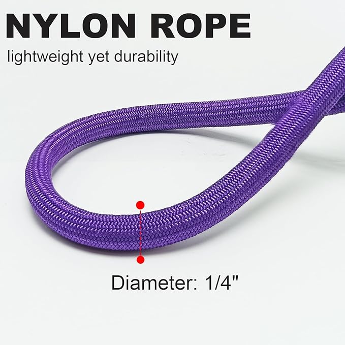 Small Dog Leash, 1/4" by 6/8/10 FT Lightweight Strong Nylon Rope Leash, Bright Classic Lead for Small Pets/Puppy/Cat (8ft, Purple)