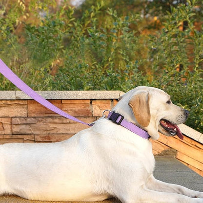Reflective Dog Leash 6 FT Padded Handle Nylon Dogs Leashes for Medium Dogs Lavender