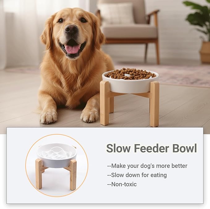 Ceramic Slow FeederDog Bowl for Medium Large Dogs,Heavy Weighted,Puzzle Eating Bowl Modern Maze (White, 8.66in)