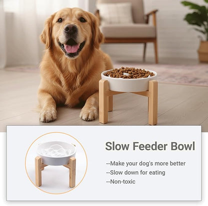 Ceramic Slow FeederDog Bowl for Medium Large Dogs,Heavy Weighted,Puzzle Eating Bowl Modern Maze (White, 8.66in)
