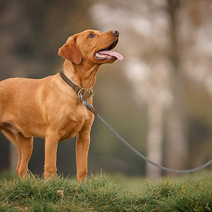Mile High Life | Premium Leather Dog Leash | Strong Rope Leash | Leather Handle | Zinc Alloy Strong Clasp | Small Medium Large Dogs | 4/5/6 Feet(Brown, 72 Inch (Pack of 1))