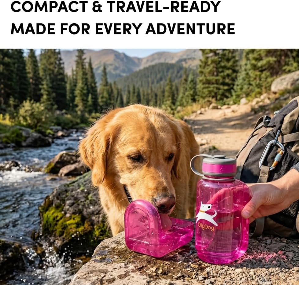 OllyDog OllyBottle Tritan Water Bottle with Detachable Dog Bowl | BPA Free Leakproof | 20oz | Share Water with Your Dog | Hiking Travel Camping (600ML, Hot Pink) - Image 3