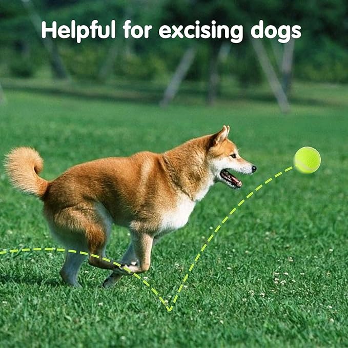 Mini Tennis Ball 12 Pack for Pet Playing Fecth, 2 inch Dog Training Tennis Balls for Small Size Dogs, Interactive Dogs Playing Balls Fits 2 Inch Automatic Dog Ball Launcher