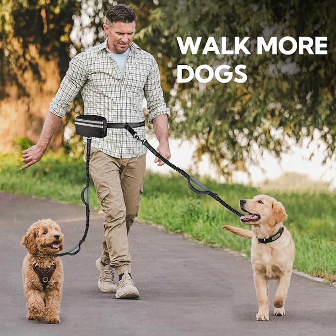 Hands Free Dog Leash 2 Dogs, Multifunctional Double Waist Leash forTwo Dogs Walking, Runing, with Waist Belt,Zipper Pouch and Shock Absoring Bungee (Grey-Green Midum Size, 2 Leashes)