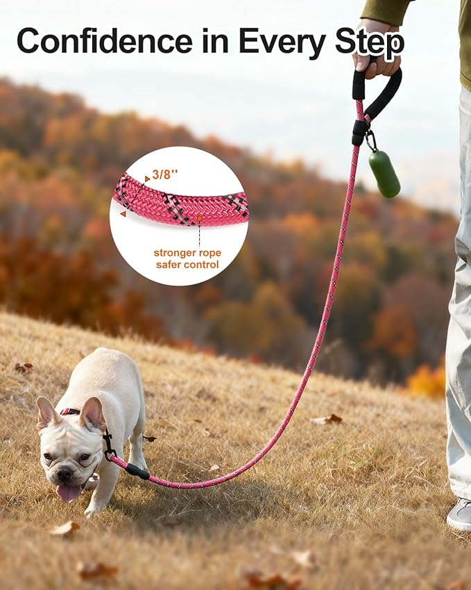 Joytale Dog Leash for Small Dogs, Heavy Duty Nylon Leashes with Comfortable Padded Handle and Highly Reflective Threads, Ideal for Walking and Training, Pink, 6'×3/8''