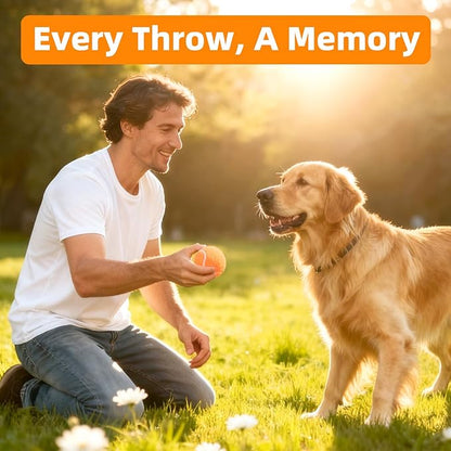 2.5" Dog Tennis Balls 6-Pack Silent Bounce, Tough Rubber Core, Durable Fetch & Training Toys for Indoor/Outdoor Play, for Small Medium Large Dogs (Orange, 6 Pack)