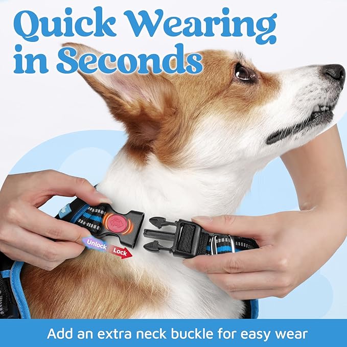 rabbitgoo Dog Harness Medium Sized, No Pull Dog Vest with 3 Buckles, Adjustable Soft Padded Pet Harness with Easy Control Handle and Reflective Strips, Black & Sky Blue, M