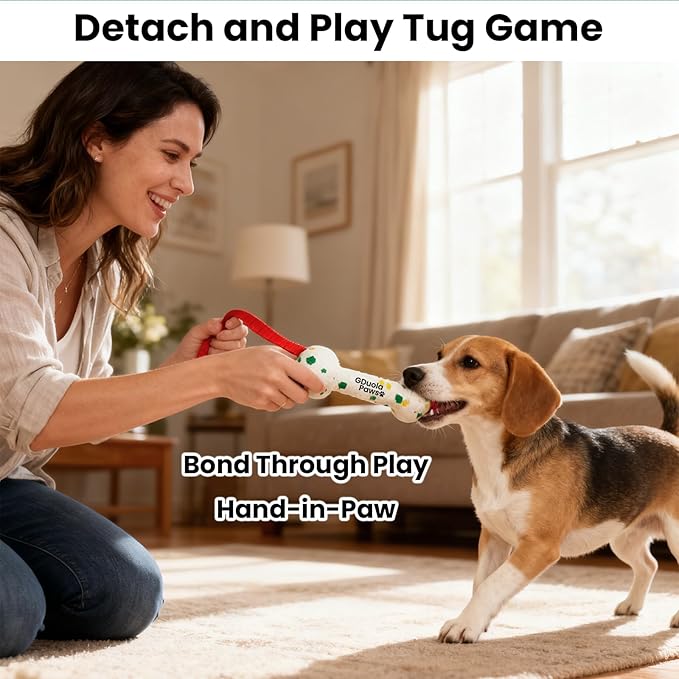 Hanging Dog Bungee Tug Toy for Puppy Small Dogs Chase, Indoor Spring Pole Over Door, Outdoor Tree Tether Tug, Interactive Pull Rope Toy for Self Play Exercise & Training