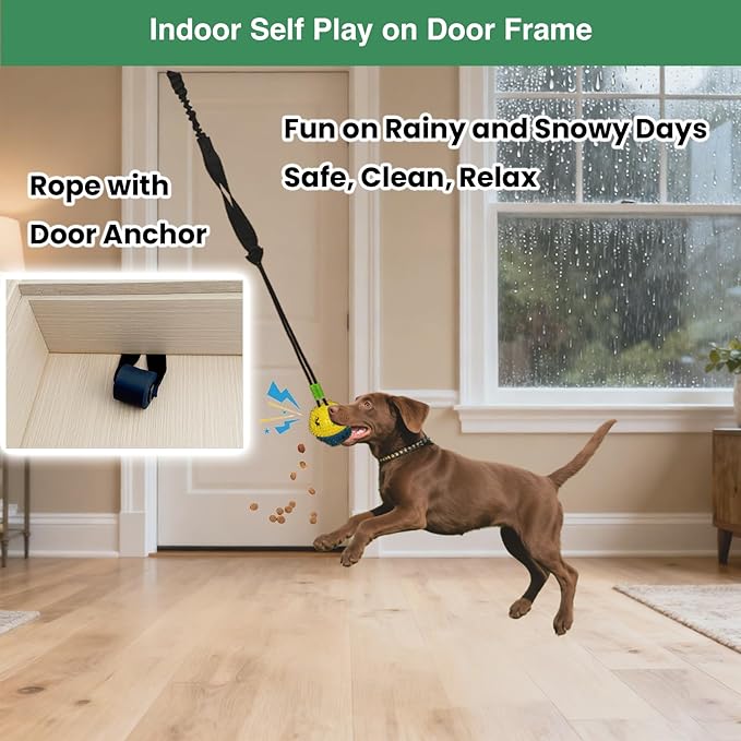 Bungee Dog Toy for Puppy Small Medium Dogs, Indoor Spring Pole Hang Over Door Frame, Outdoor Tether Rope for Yard Tree, Interactive Tug of War Pull Toy for Self Play Training Exercise