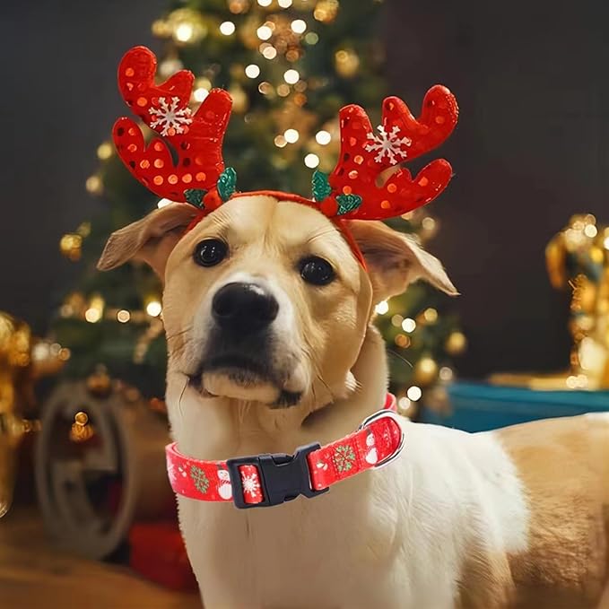 Christmas Dog Collar with Buckle Adjustable Safety Nylon Collars for Small Medium Large Dogs, Cute Stylish Girl Boy Christmas Dog Collar (Christma Red,XS)