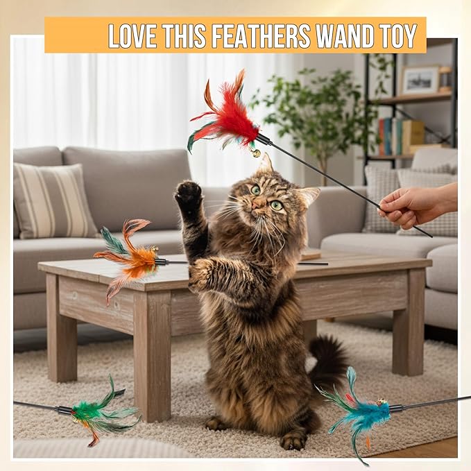 Leitee 50 Pcs Cat Wand Toy Feather Stick Cat Toy Bulk Feather Toys and Teaser Wand Bulk Interactive Stick for Indoor (Multi-Color)
