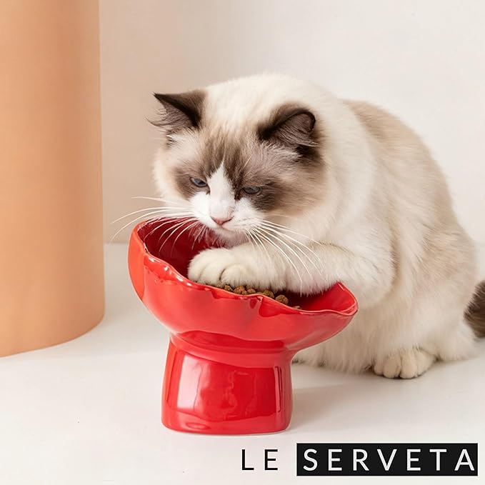 Ceramic Raised Pet Slow Feeder Bowl, Elevated Cat and Dog Slow Feeder, Decorative Standing Doggy Design, Anti-Slip Base, Anti-Vomiting (Red)