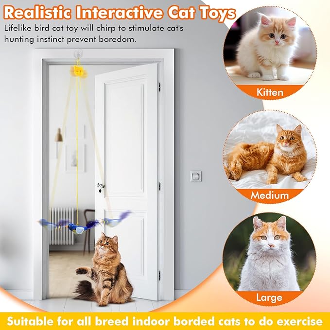 Interactive Cat Toys for Indoor Cats, Retractable Door Hanging Cat Toys with Catnip and Feathers, 3 Pack Chirping Bird Cat Toy for Chase Exercise Boredom Buster for Kittens & Adult Cats