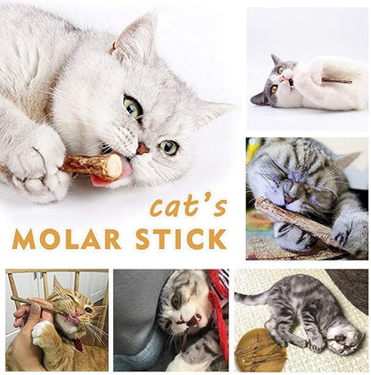 AILUKI 35 PCS Cat Toys Kitten Toys Assortments,Variety Catnip Toy Set Including 2 Way Tunnel,Cat Feather Teaser,Catnip Fish,Mice,Colorful Balls and Bells for Cat,Puppy,Kitty