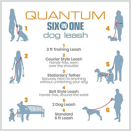 Kurgo Quantum Leash 2.0 - Versatile for Running or Walking - 6 in 1 Dog Leash - Hands-Free Dog Leash - Adjustable - Strong & Durable - Black/Orange