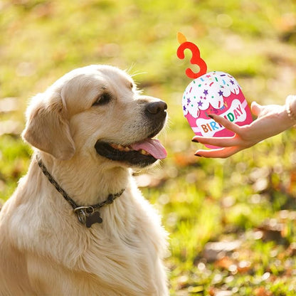 Dog Birthday Cake Toy Accessories for Girl Boy Gifts, Squeaky Plush Toy for Dog Birthday Party Decor Favor for Large, Medium and Small Dogs(3rd,Pink)
