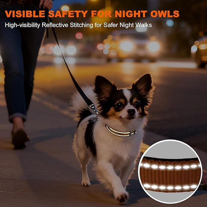 Taglory Reflective Dog Collar with Safety Locking Buckle, Soft Neoprene Padded Dog Collar for Puppy Dogs, Metal D-Ring, Adjustable Nylon Neck Strap for Daily Walking, Training & Running, Tan, XS