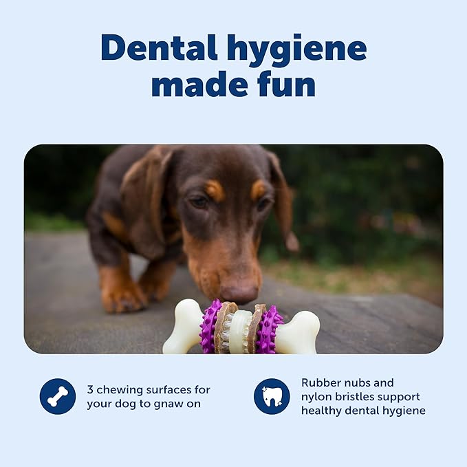 PetSafe Busy Buddy Bristle Bone - Durable Dog Chew Toy with Bristles & Rubber Nubs for Dental Health - Treat-Dispensing Toothbrush Toy for Hard Chewers - Dog Enrichment Supplies