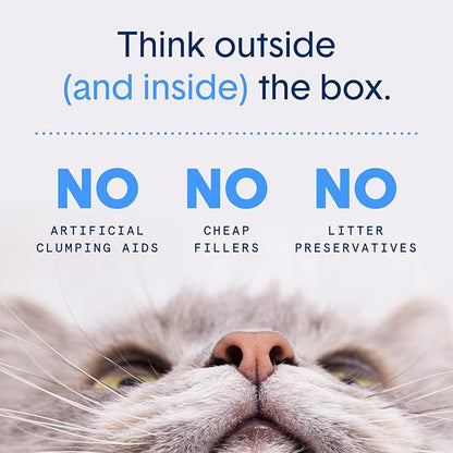 Boxie® Glo™ 30 Day Odor Control Non-Clumping Crystal Cat Litter, 6 lb, Natural Attractions, UV Light Attractant, Soft Granules, 99.9% Dust-Free, Long-Lasting for Multi-Cat Homes