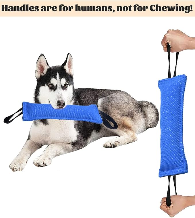 Clysoru tug Toy for Dogs Tug of War Dog Bite with 2 Strong Handles Made Durable Tear Resistant Stitches (Blue)
