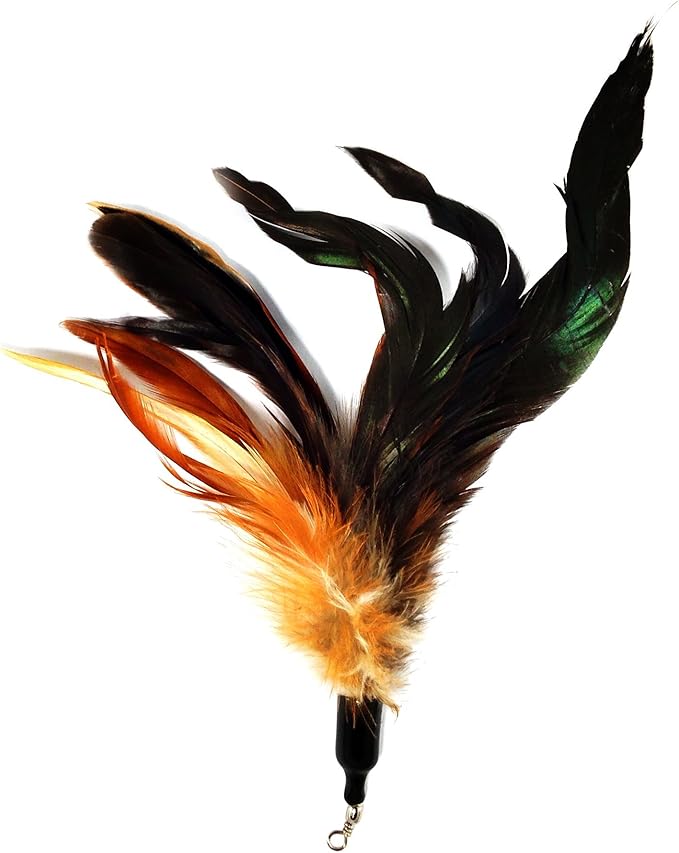 Pet Fit For Life - 6 Piece Kitten Toy Refill Pack - Replacement for Indoor Cat's Interactive Wand and Catch Wand - Features 5 Assorted Feathers, 1 Furry Tail Attachments