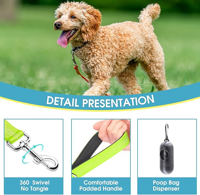 BAAPET 5 Feet Nylon Dog Leash with Triple Reflective Threads and Comfortable Padded Handle for Walking, Training Lead Small Puppy, Medium and Large Dogs (1.0'' x 5 FT, Green)