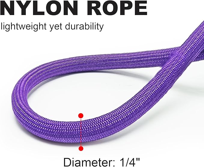 Small Dog Leash, 1/4" by 6/8/10 FT Lightweight Strong Nylon Rope Leash, Bright Classic Lead for Small Pets/Puppy/Cat (10ft, Purple)