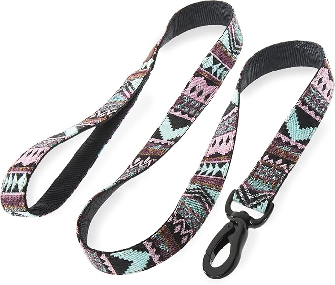 Embark Adventure Dog Leash – Colorful, Strong & Sturdy, 5 Ft, Suitable for Small, Medium & Large Breeds, Aztec