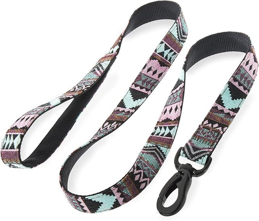Embark Adventure Dog Leash – Colorful, Strong & Sturdy, 5 Ft, Suitable for Small, Medium & Large Breeds, Aztec