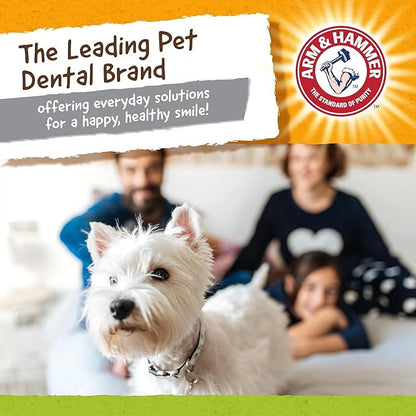 Arm & Hammer for Pets Nubbies Duality Bone Dental Dog Toy - Best Dog Chew Toy for Moderate Chewers - Helps Reduce Plaque & Tartar- Green Apple Flavor, Baking Soda Enhanced - 2 Pack