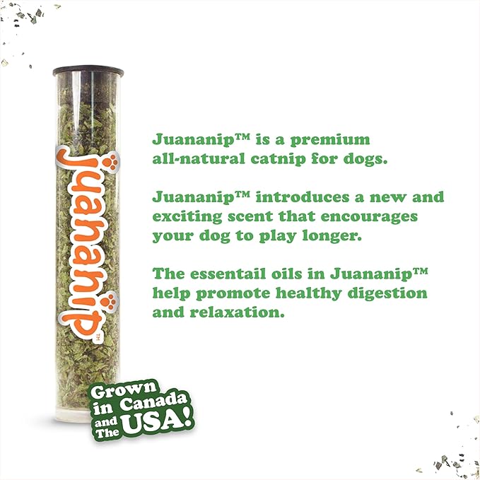 Doggijuana Tuffer Chewer Plush Dog Toy | Funny Dog Toy Plush with Juananip Catnip for Dogs | Calming Aid for Dogs | Interactive Squeaky Chew Toy for Play (Pretzel)