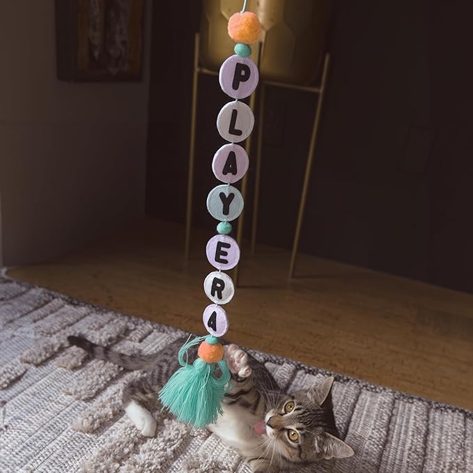 KONG Cat Teaser Wand Toy - Encourages Pouncing & Batting (Friendship)