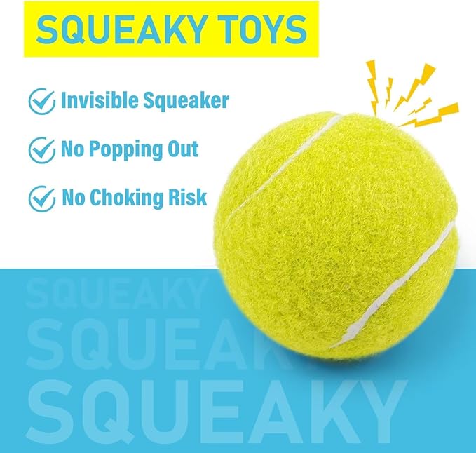 Prime Pets Tennis Balls for Dogs 3 Pack 2.5”, Durable Dog Toys for Training, Fetch & Outdoor Play, Squeaky Balls for Dogs Small and Medium with High Bounce, Interactive Pet Fetch Ball
