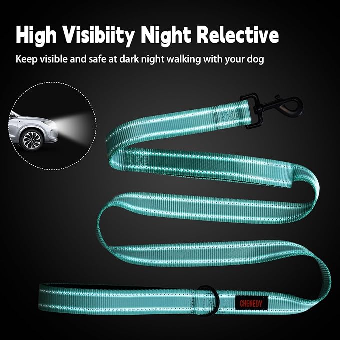 Heavy Duty Dog Leash with 2 Handles - 6ft Reflective Anti-Pull Leash for Large Dogs, Padded Traffic Handle for Control, Durable Nylon Training Lead (Black)