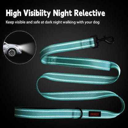 Heavy Duty Dog Leash with 2 Handles - 6ft Reflective Anti-Pull Leash for Large Dogs, Padded Traffic Handle for Control, Durable Nylon Training Lead (Black)