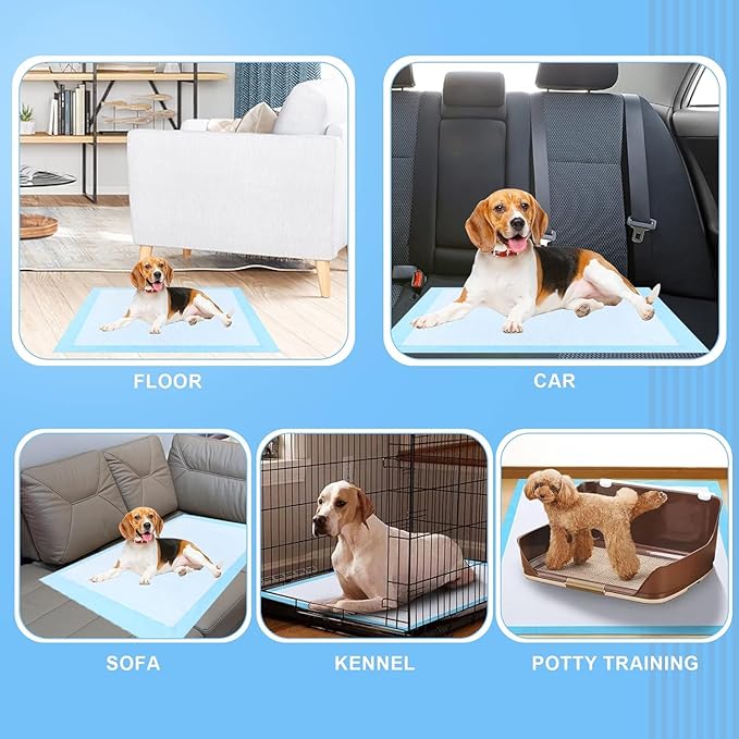 Extra Large Dog Pee Pads, 60 Pads 31"x36" Disposable Training Pads, Puppy Pads with high Absorbency and Leak-Proof Protection for House Training Cats,Rabbits,Dogs Leak-Proof Dog Pee Pads Extra Large