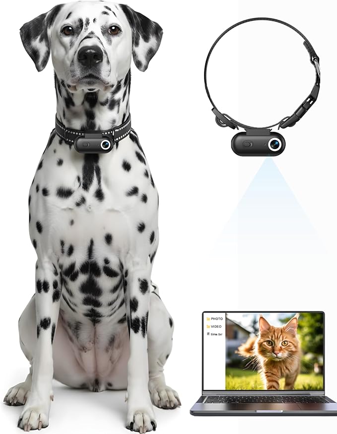 Dog & Cat Camera Collar, 1080P HD Video Recording Pet POV Cam for Medium Dogs & Large Cats, M-Size, Rechargeable Mini Action Camera with USB Playback on PC